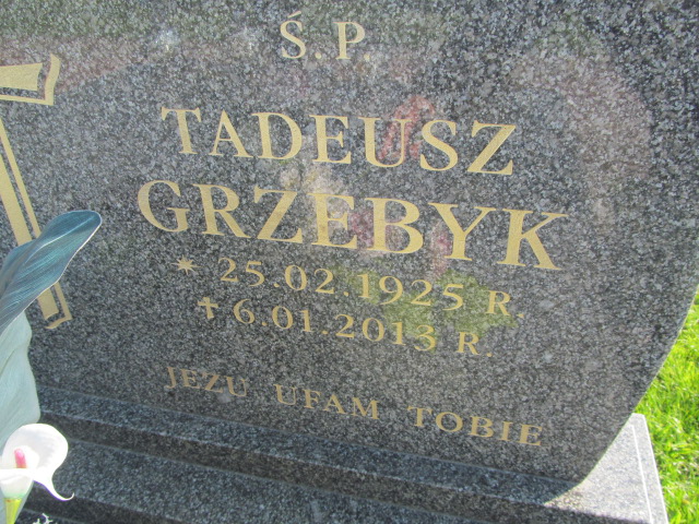 Adam GRZEBYK 1956 Lubaczów - Grobonet - Wyszukiwarka osób pochowanych