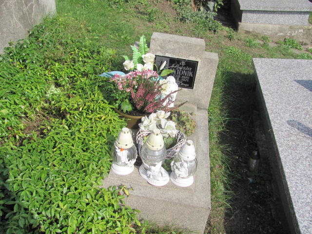 Grób Barbara Antonik