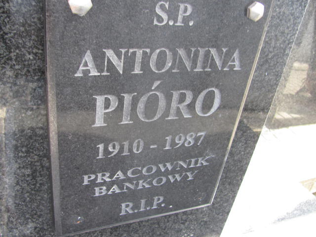 Michał Pióro 1905 Lubaczów - Grobonet - Wyszukiwarka osób pochowanych